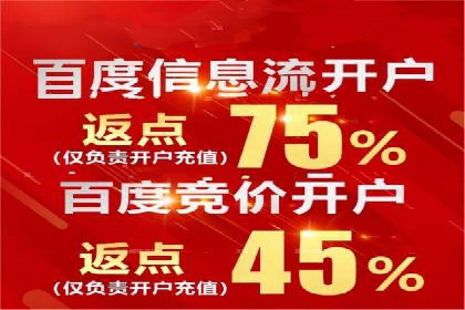 成功SEM投放案例分享